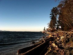 2562269471_d08cb9ef28_m