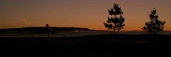 2562273991_5abea86151_m