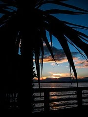 2562275253_d8d73578db_m