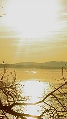 2562689443_736d3ab4c4_m