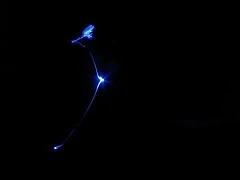 2563050920_97d5e49dfd_m