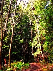 2563054662_1de9f910a4_m