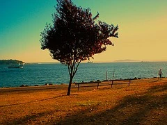 2563085072_9d3301c026_m