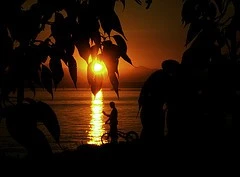 2563147958_d4caafe5a4_m