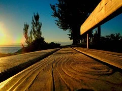 2563197836_dc632a40d9_m