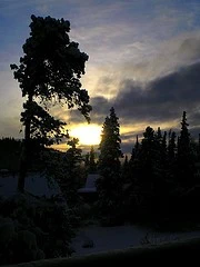 2563233676_1505ab7006_m