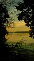 2563549880_5f5d2264cc_m