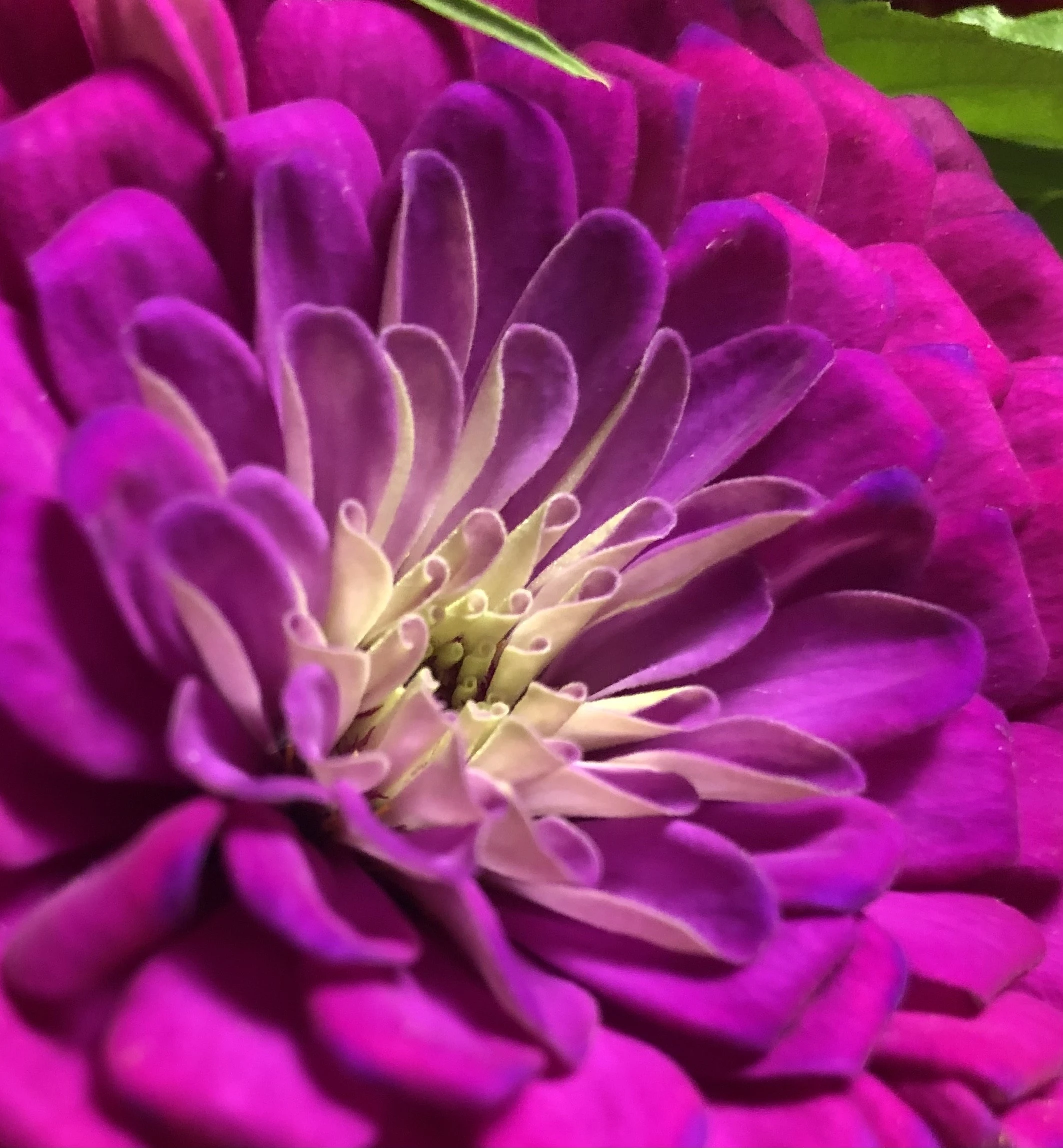 2594CA92-07EA-48D7-BC34-77D660CA7C72.jpeg