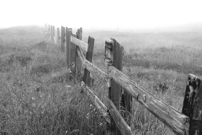 31128-DSC_1985-bw_resize