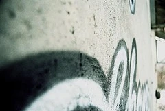 3134208529_16a930e1c8_m