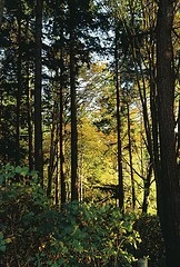 3135047954_4ff07471b9_m