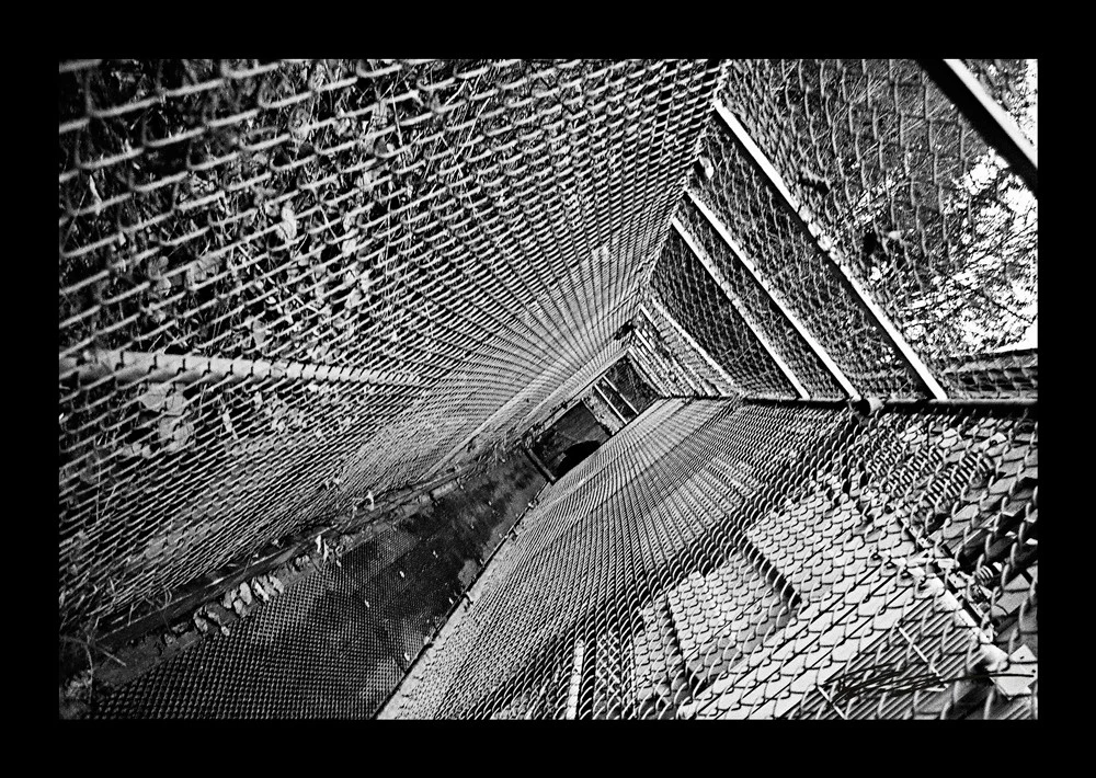 3135679288_a6737498af_m