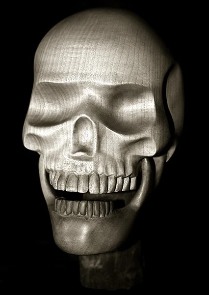 3752-skull