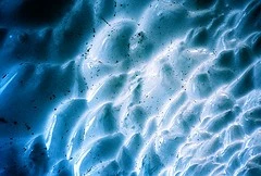 3779185223_770b143b62_m