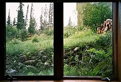 4107498287_c9955789ba_m1