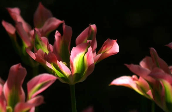 5645-IMG_3122