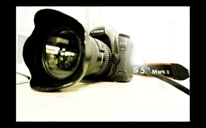 5D