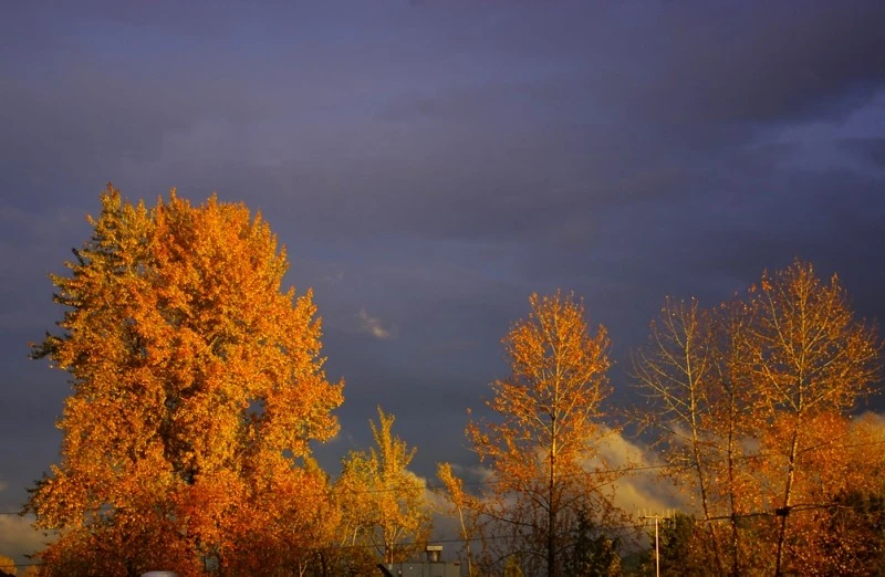 6775-_IGP1098copyweb