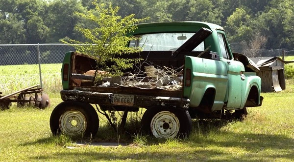7985-TreeandWheelsTPF