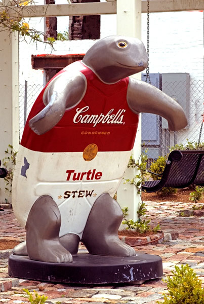 7985-TurtleTPF