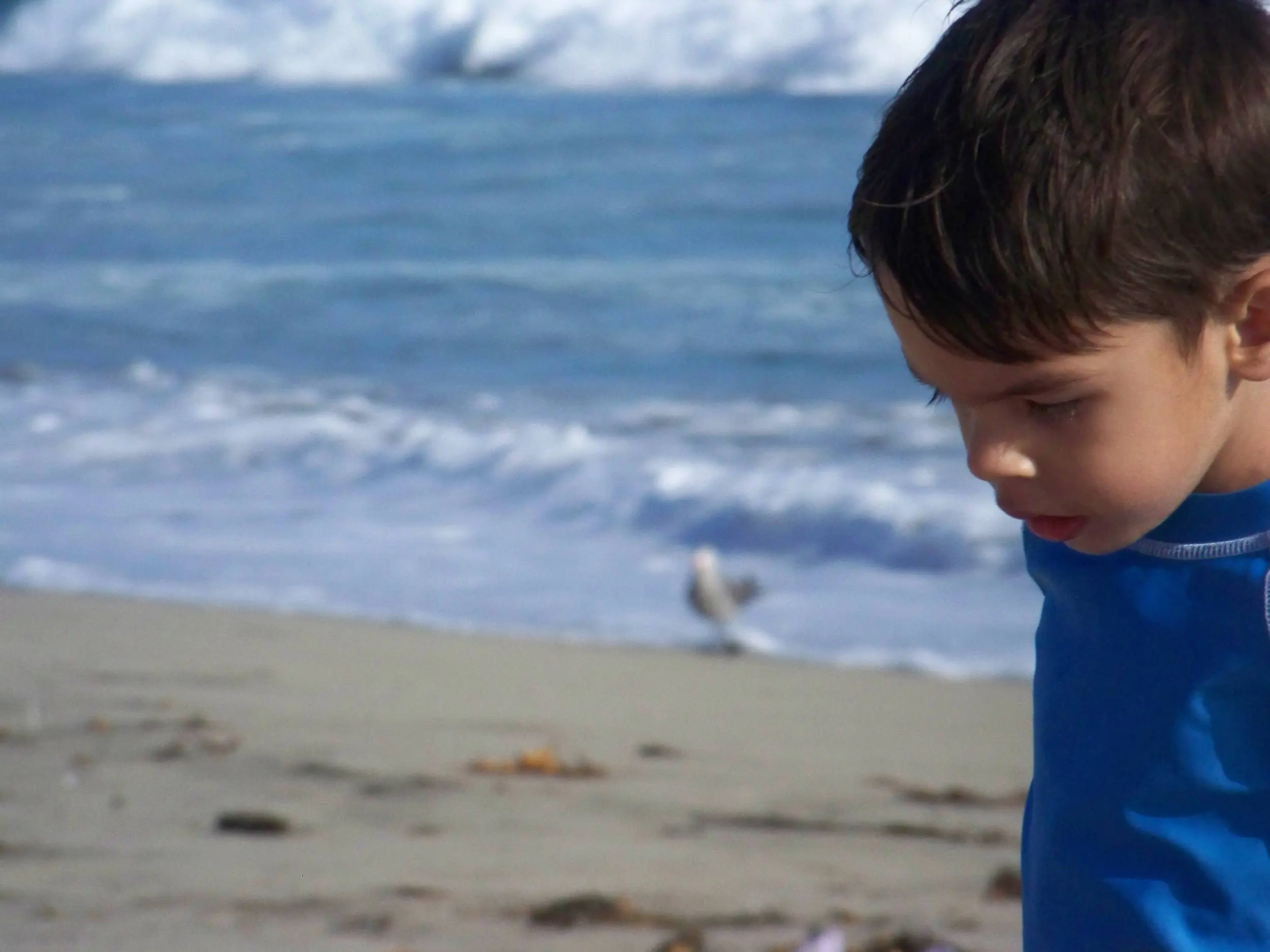 A day at the beach!