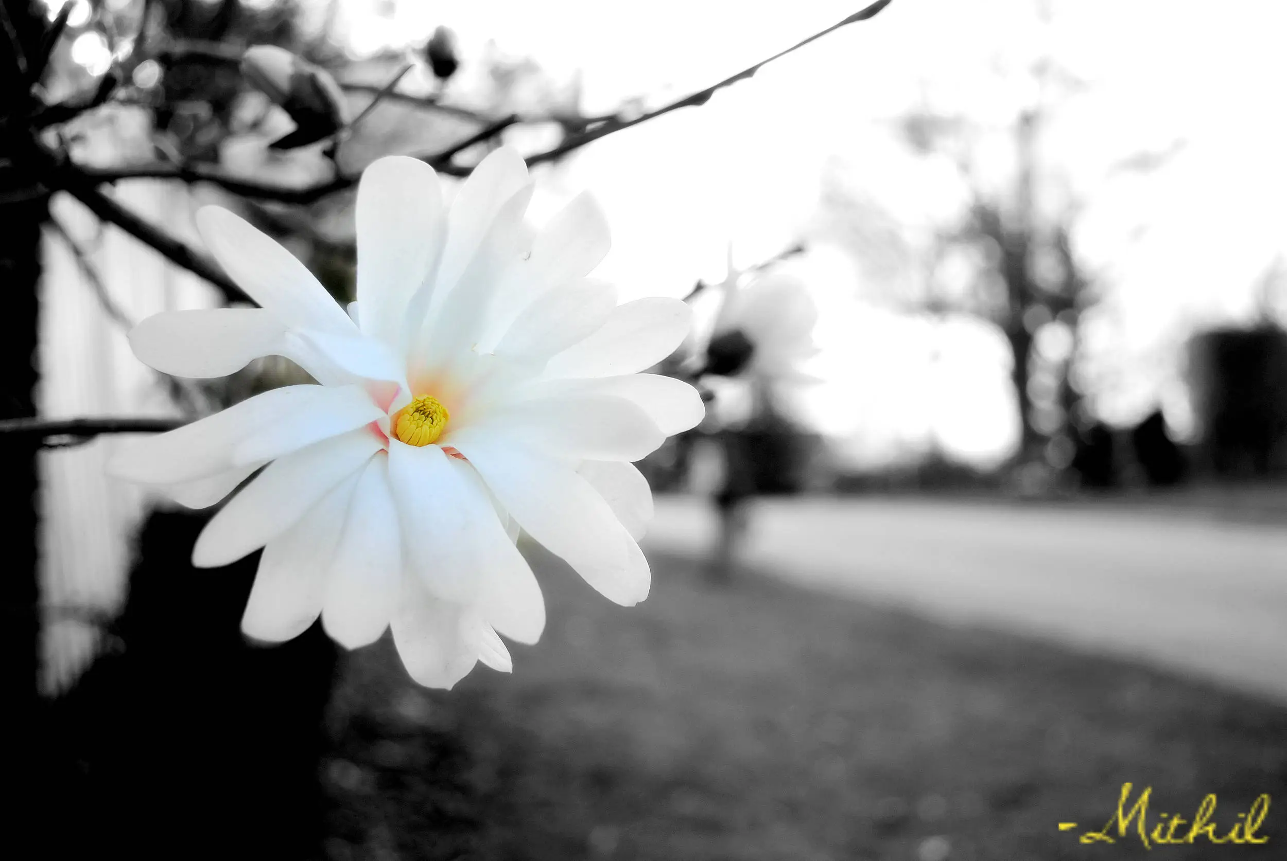 A walk in the park..
