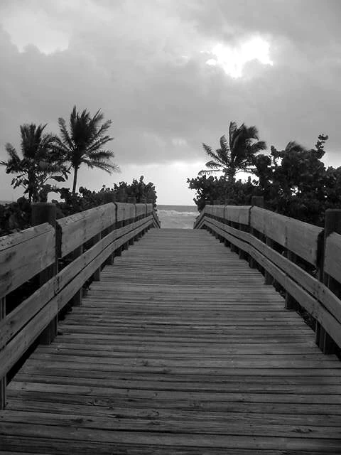 A walk to the beach