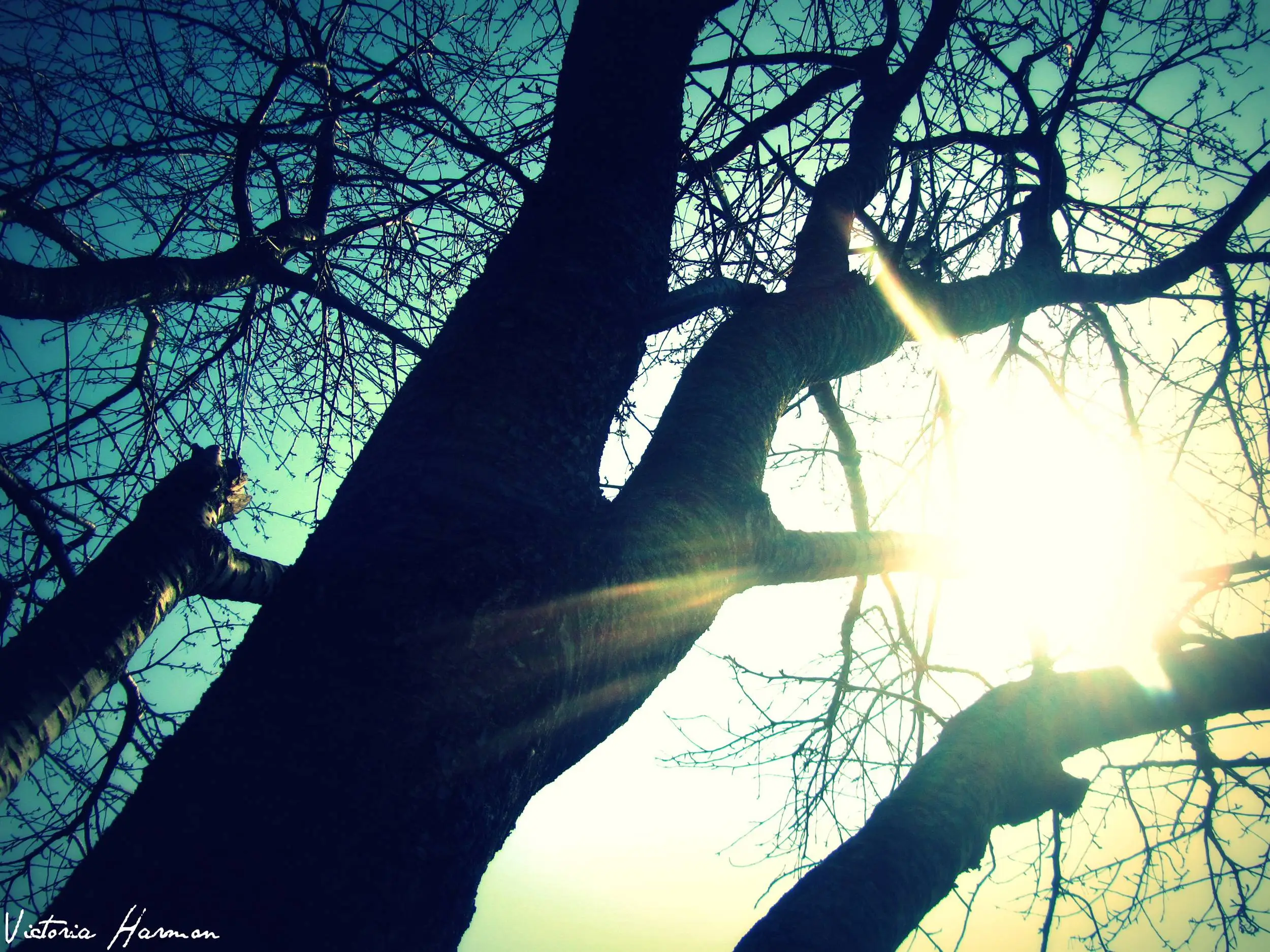 a_good_weekend_064