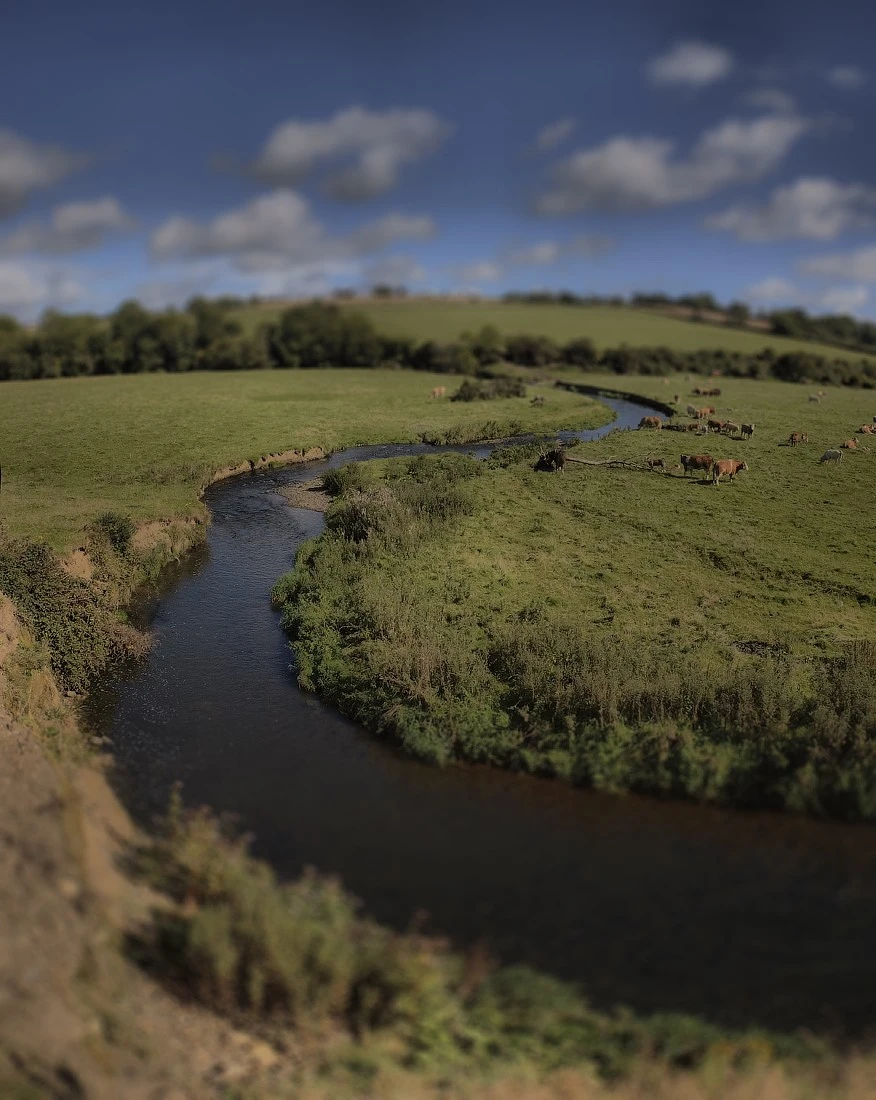 a_pano_multik11