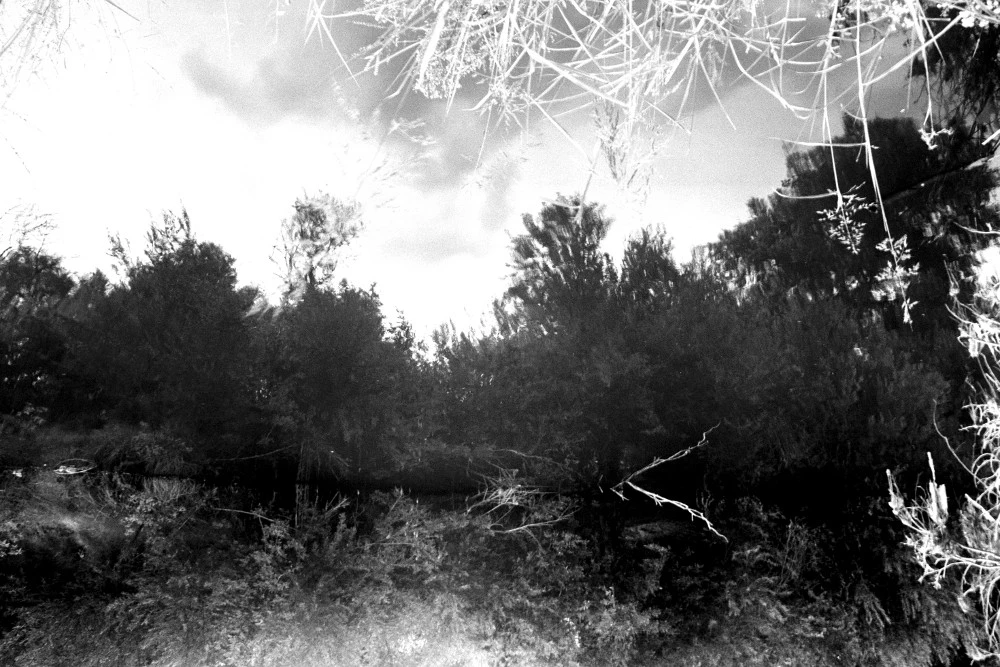 AA_007_-_Copy