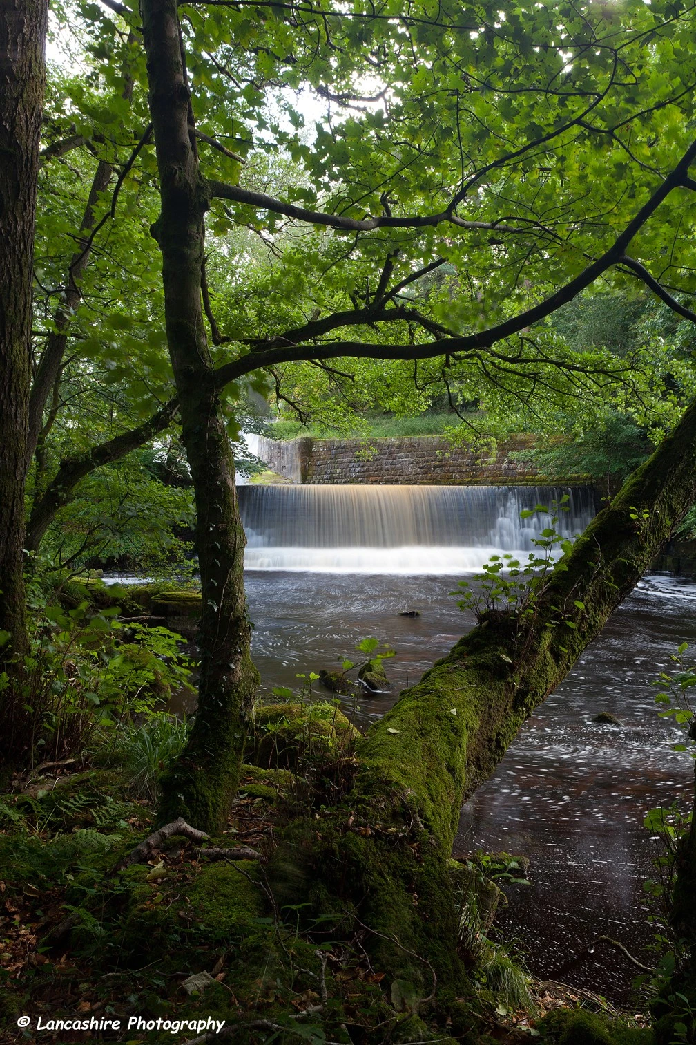 Abbeystead.