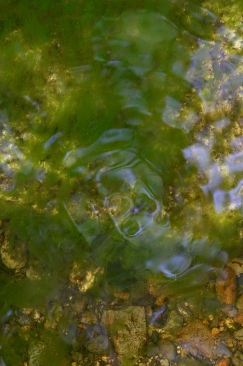 abstract_1
