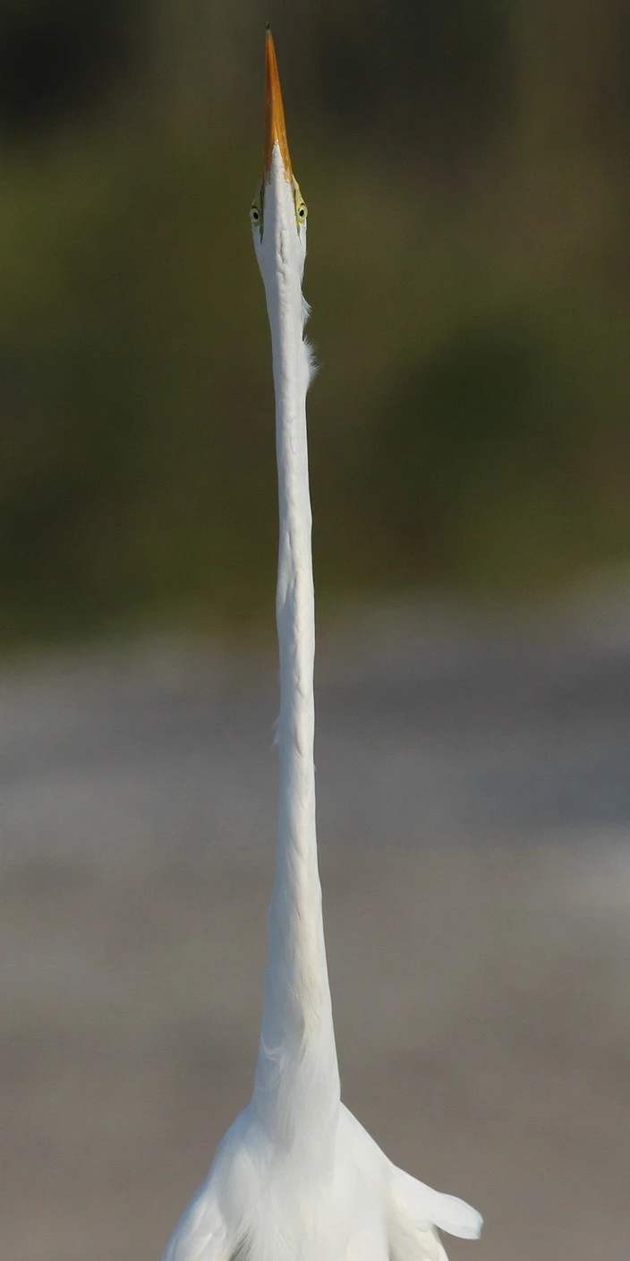 AC3H6487