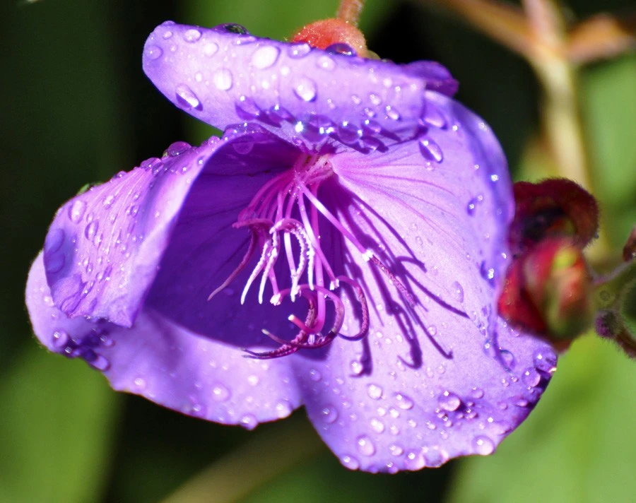 After the Rain