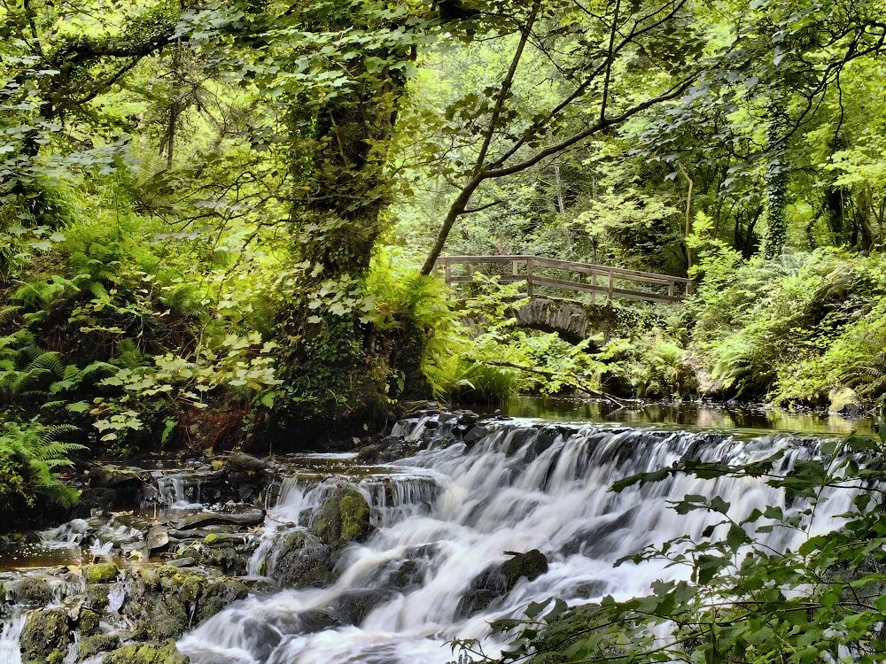 ...and only the sound of water...