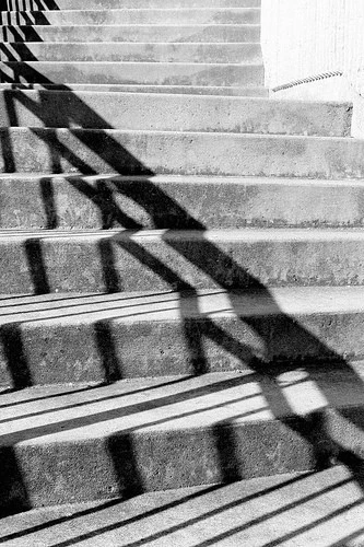 APPOSING_LINES