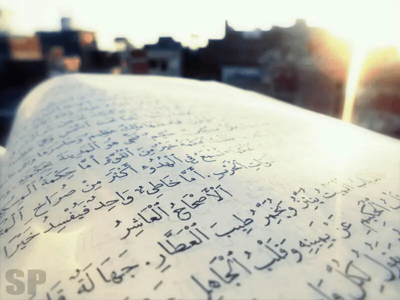 Arabic bible