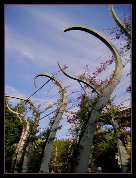 Arbor South Bank