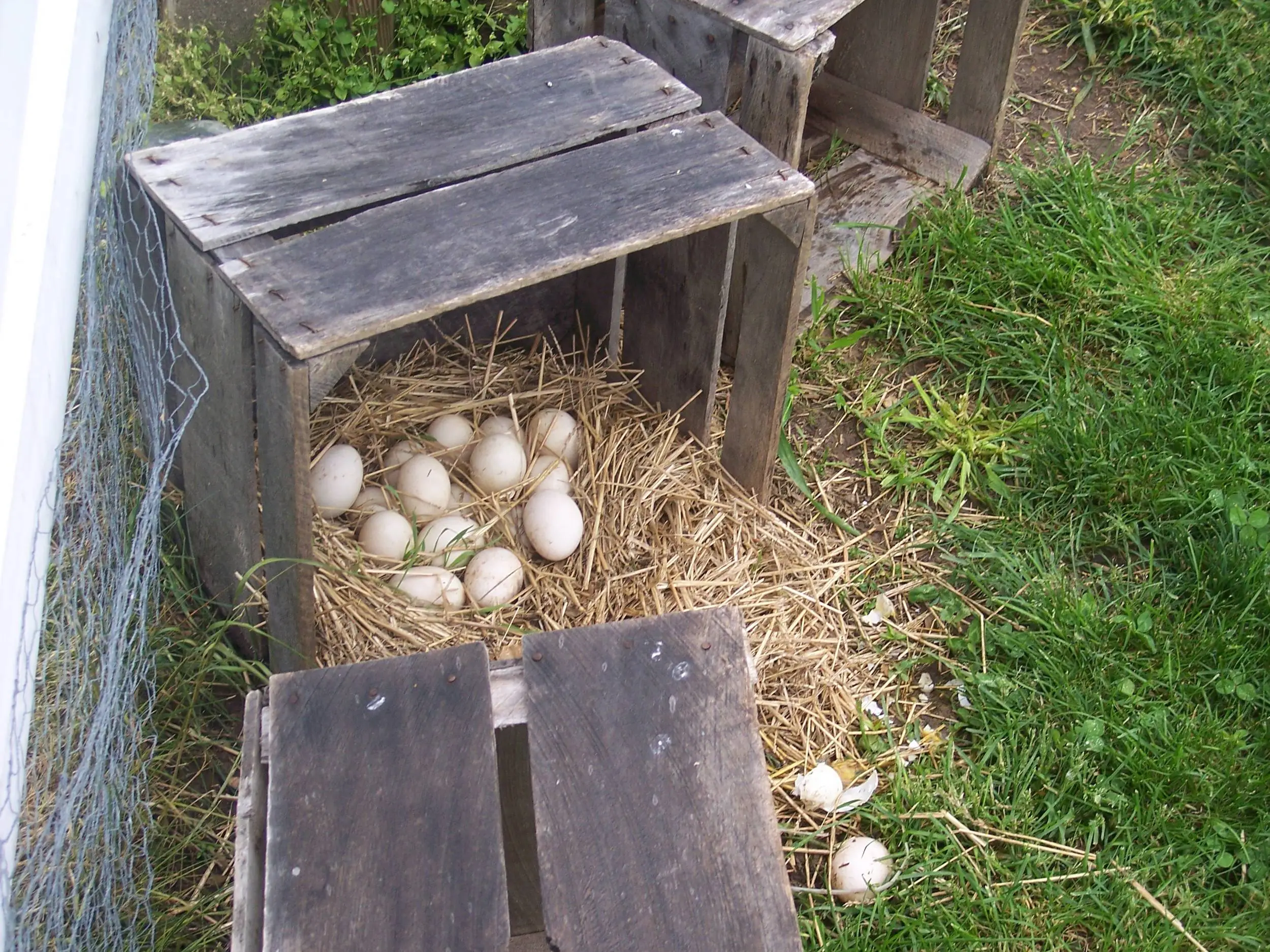 are all your eggs in one basket?...