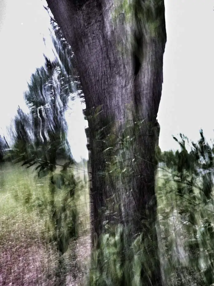 Attempted ICM photo