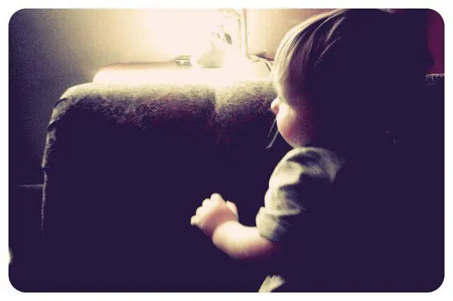 Auggie
