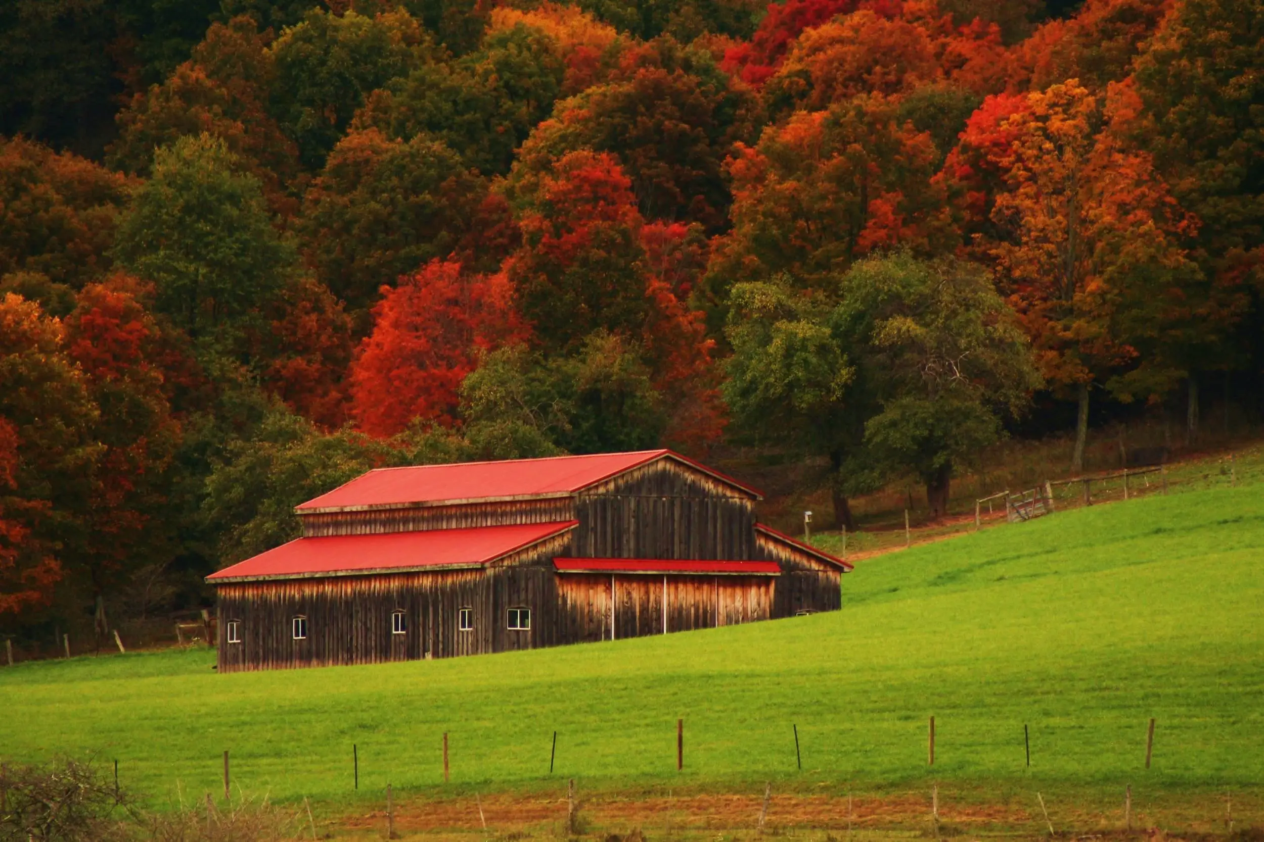autumn barn