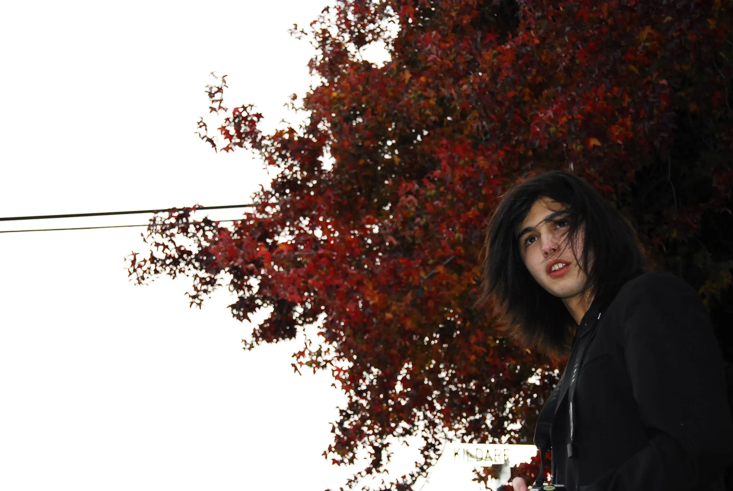 Autumn portrait