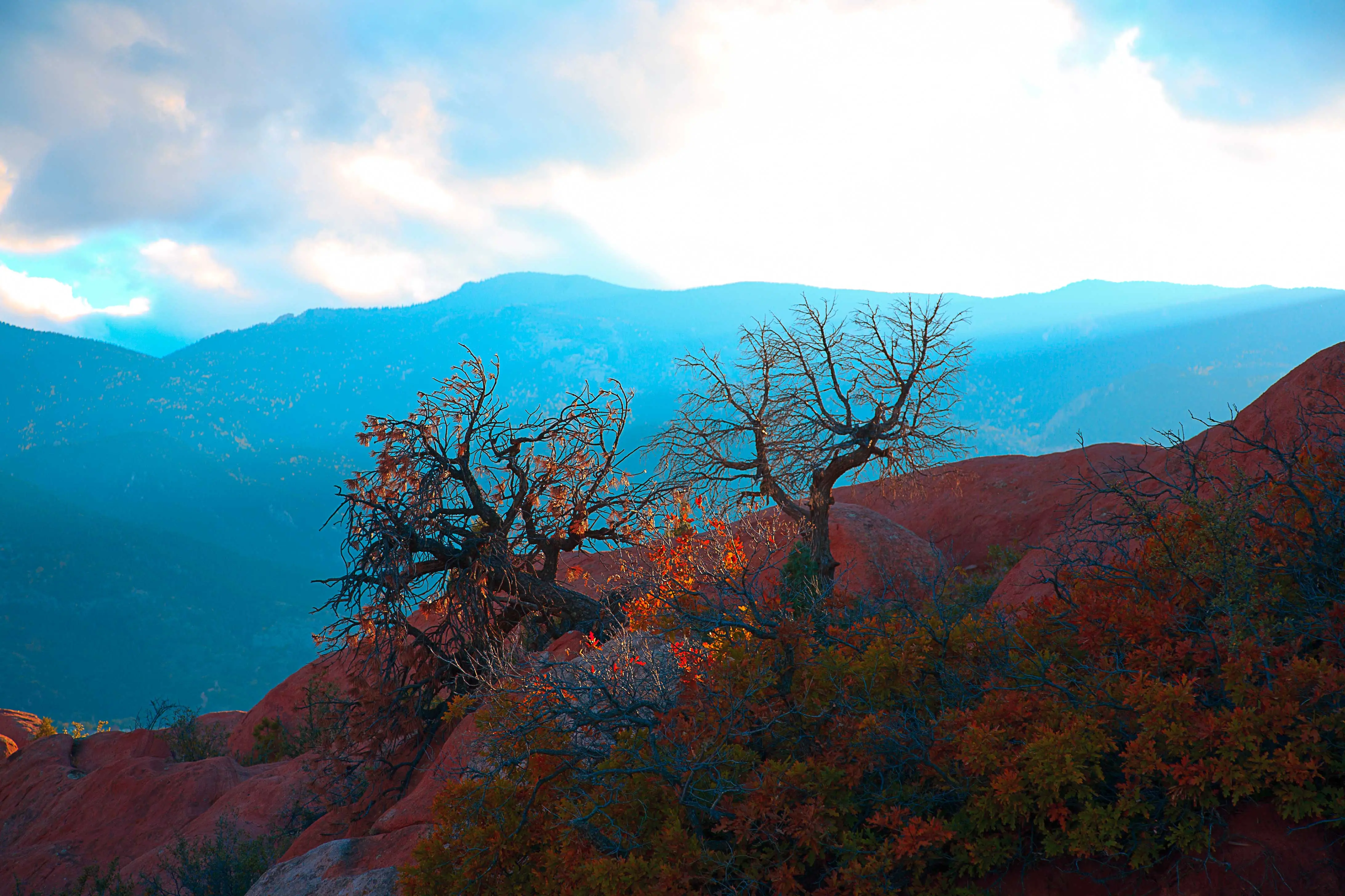 Autumn