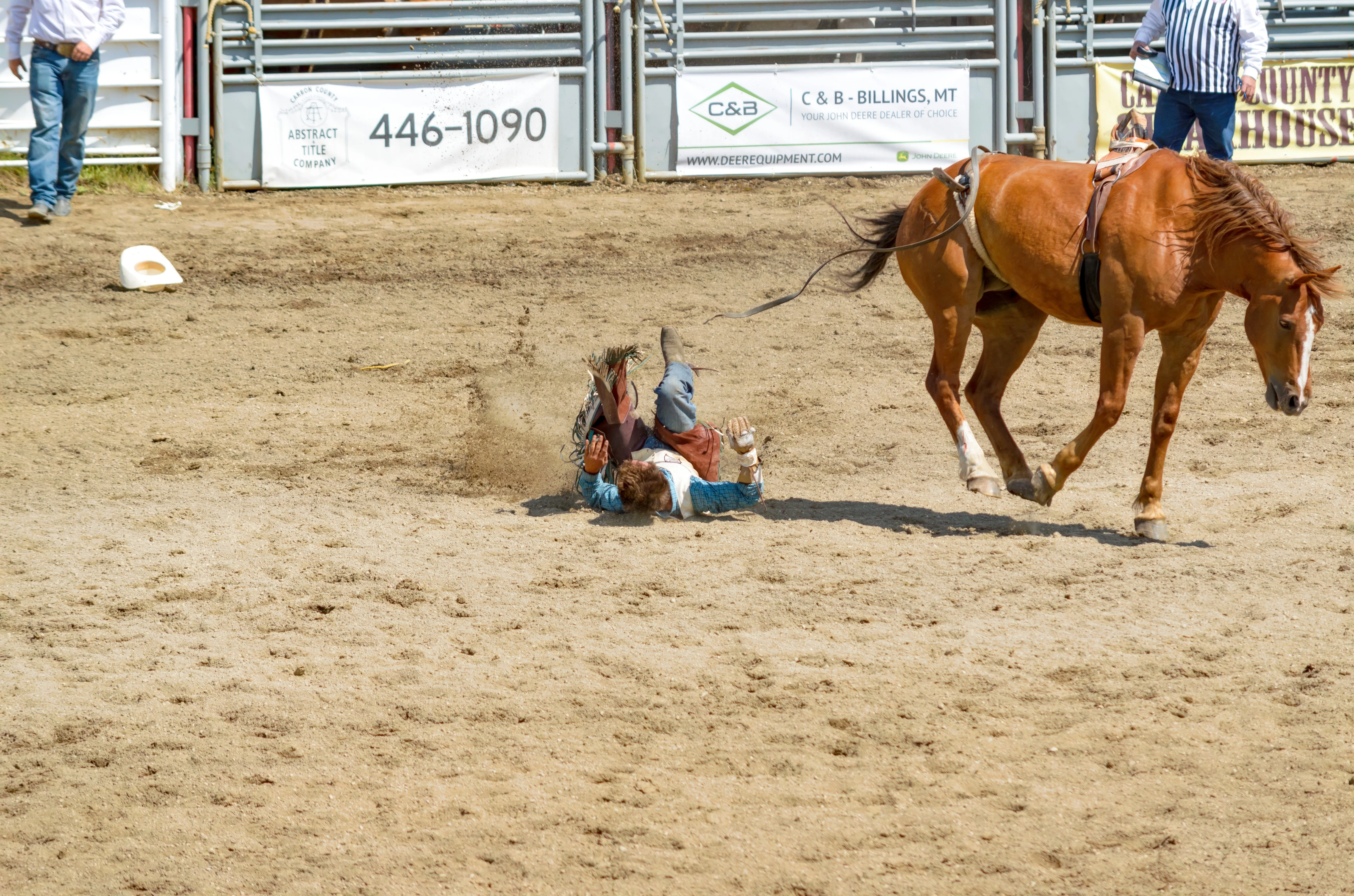 bareback riding 2