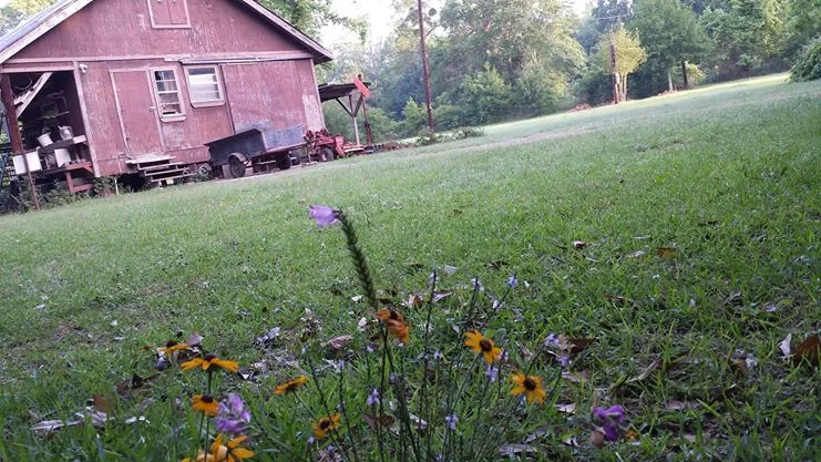 Barn that Is full of Orbs