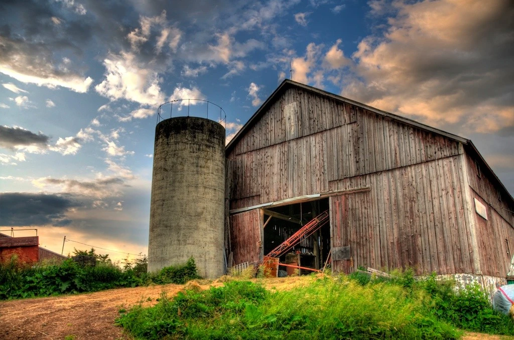 Barn