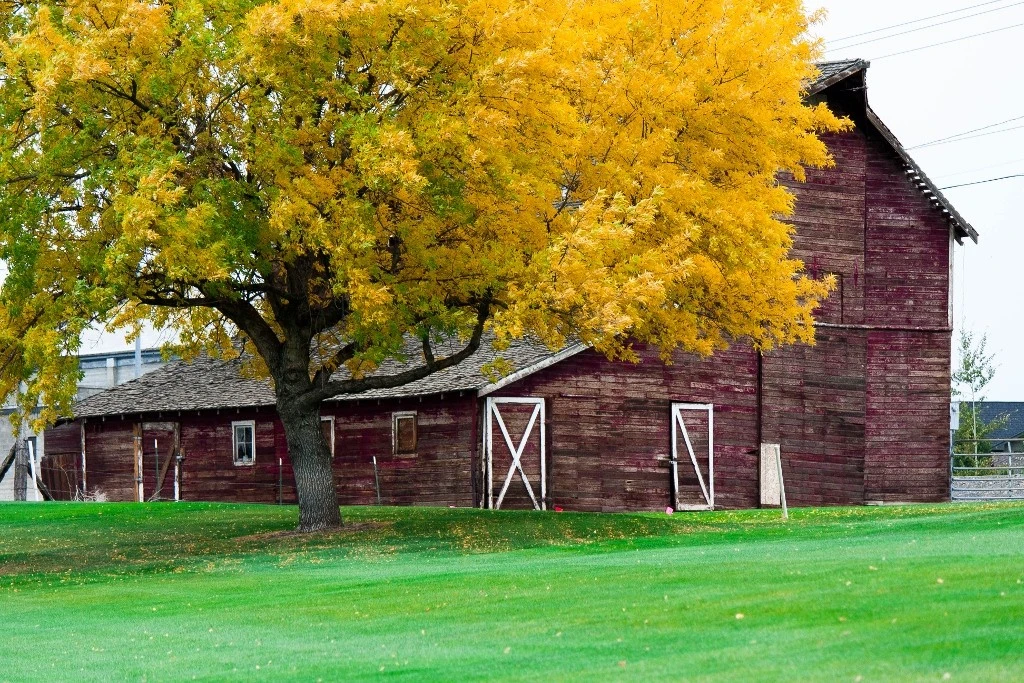 Barn