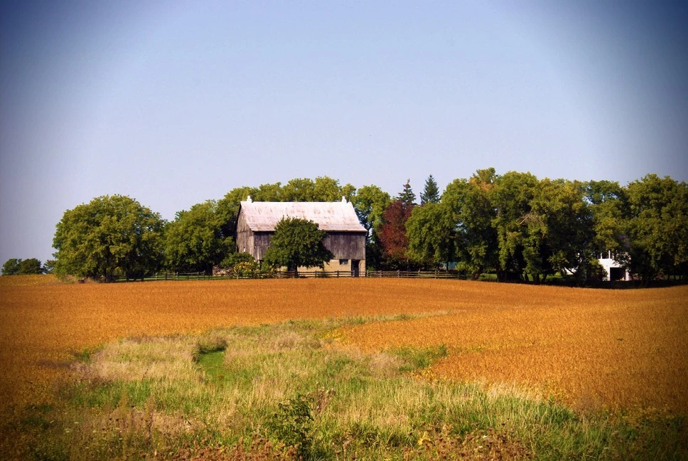 Barn