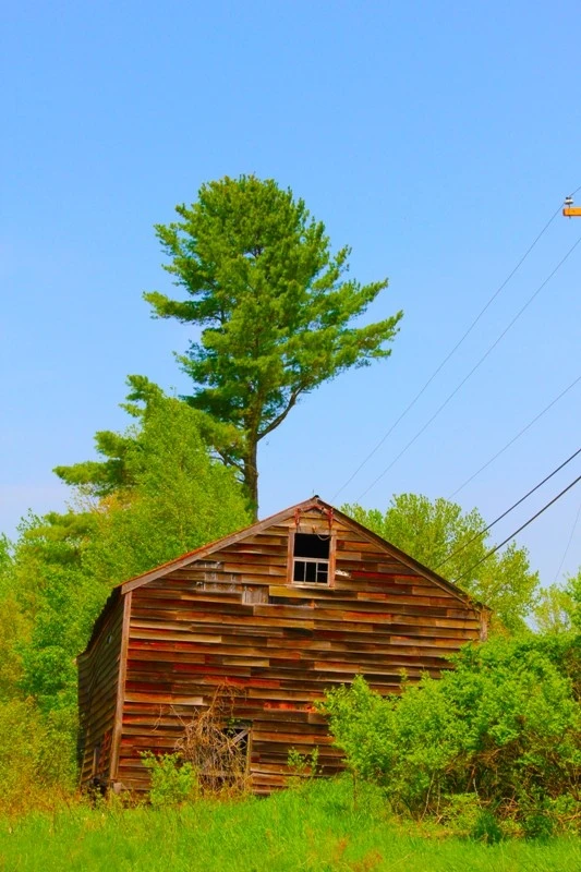 barn4